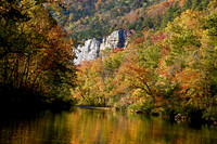 Steel Creek - Golden