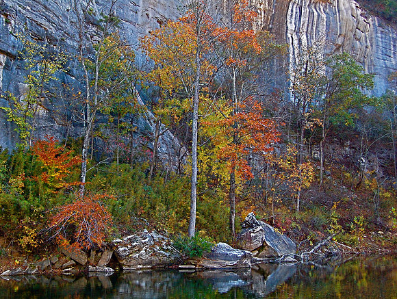 Steel Creek