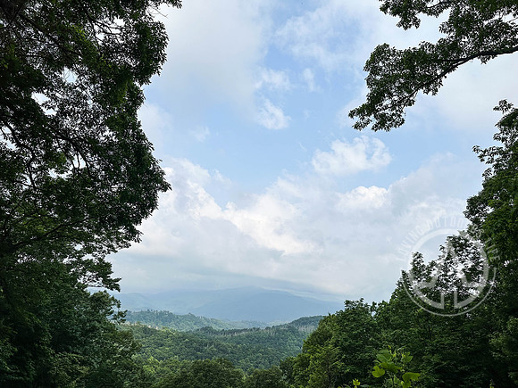 Newfound Gap Area