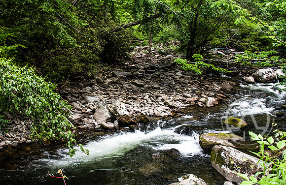 Cascade flowing along Little Pigeon River