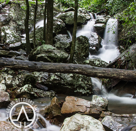 Cedar Creek - 05/21/21