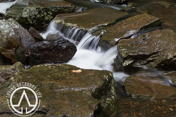 Cedar Creek - 05/21/21