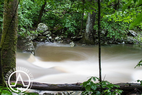 Cedar Creek - 05/21/21
