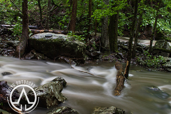 Cedar Creek - 05/21/21