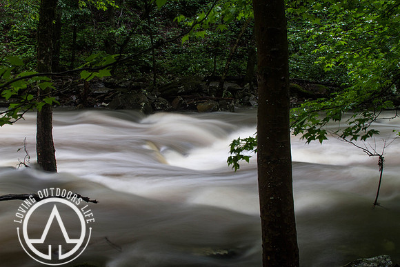 Cedar Creek - 05/21/21
