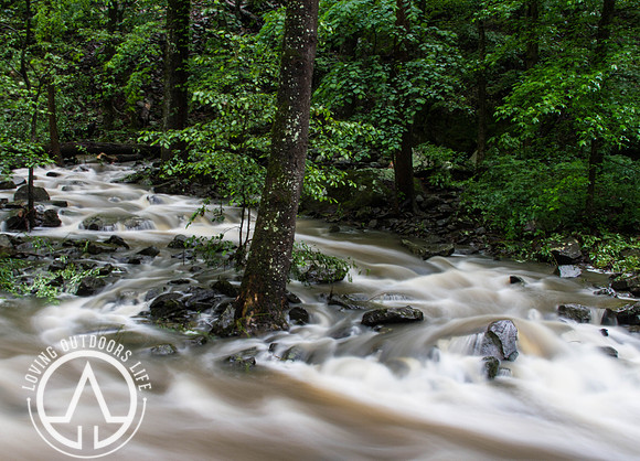 Cedar Creek - 05/21/21