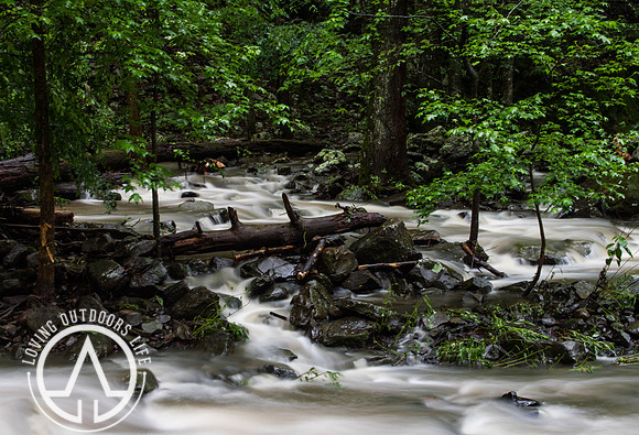 Cedar Creek - 05/21/21