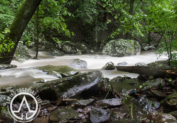 Cedar Creek - 05/21/21