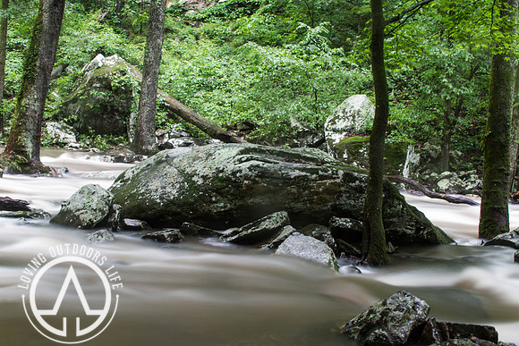 Cedar Creek - 05/21/21
