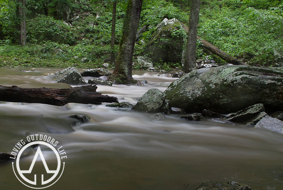 Cedar Creek - 05/21/21
