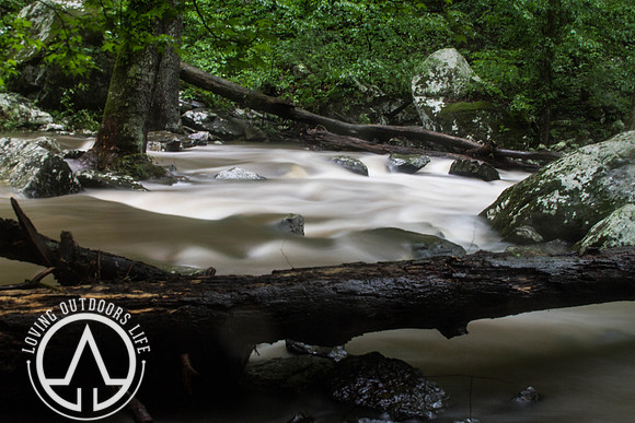 Cedar Creek - 05/21/21