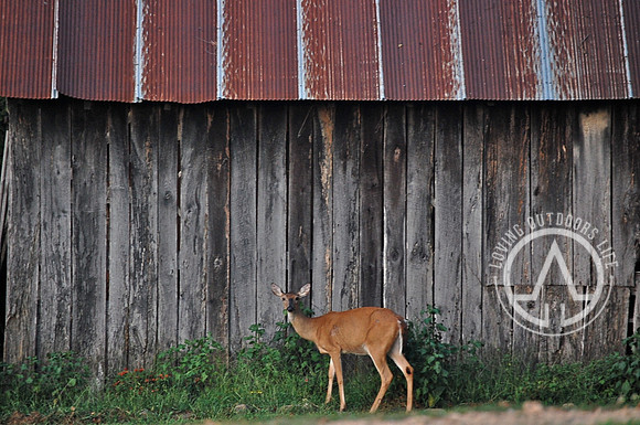 Rustic Pose