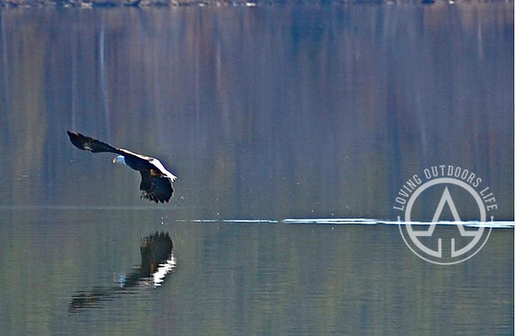 Fishing on the Lake