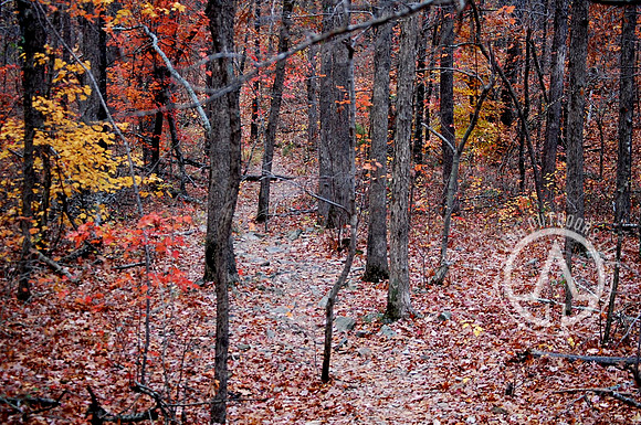 The Path to the Crag