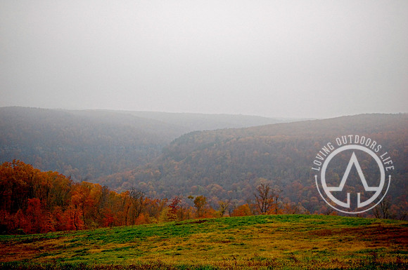 Foggy Fall Morning