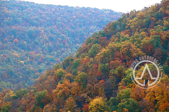 Colorful Hill Side