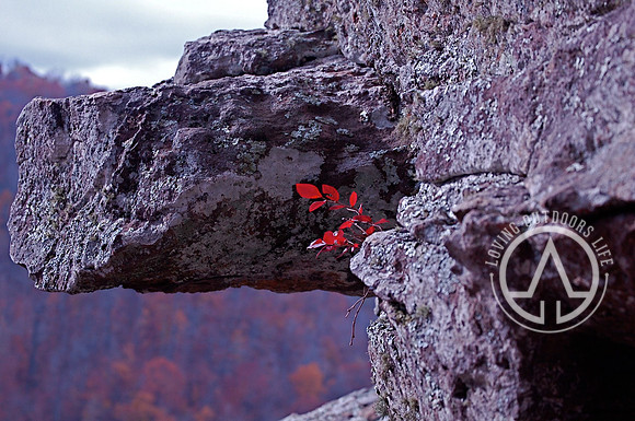 Red Rock