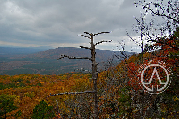 Mount Nebo