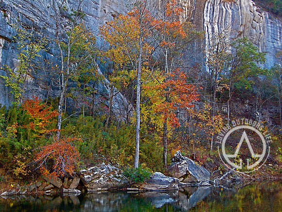 Steel Creek