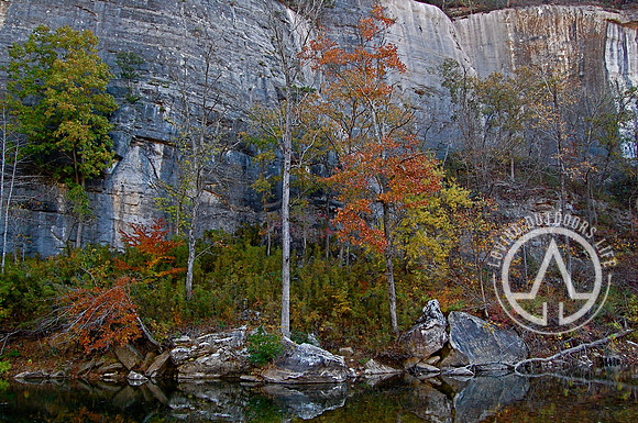 Steel Creek