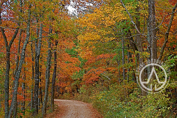 Fall Journey