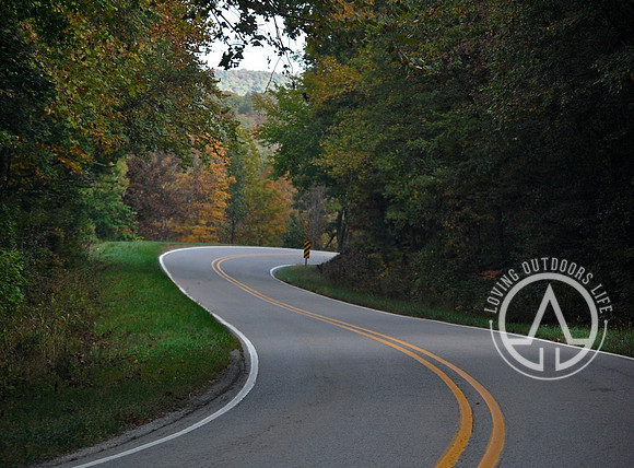 Winding Road