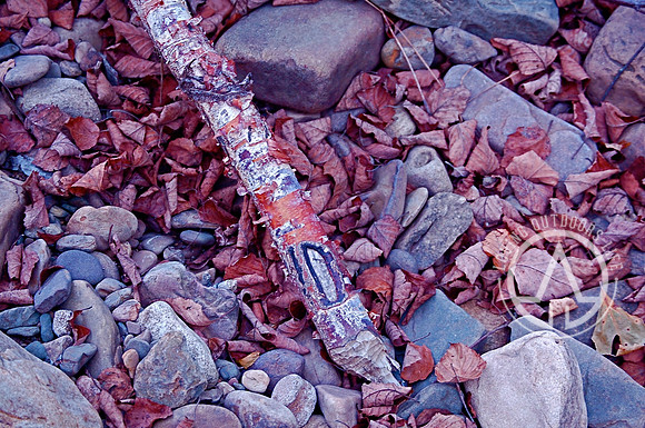 Stick and Stones