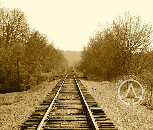 Tracks going South