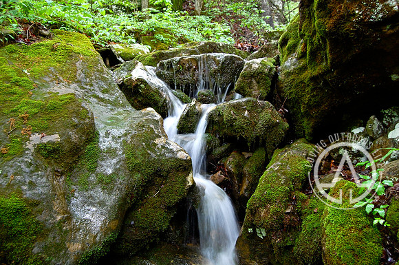 Moss Runoff