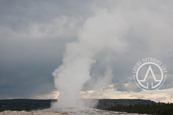 Old Faithful Geyser
