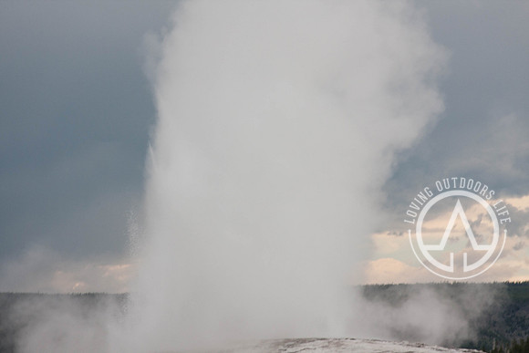 Old Faithful Geyser