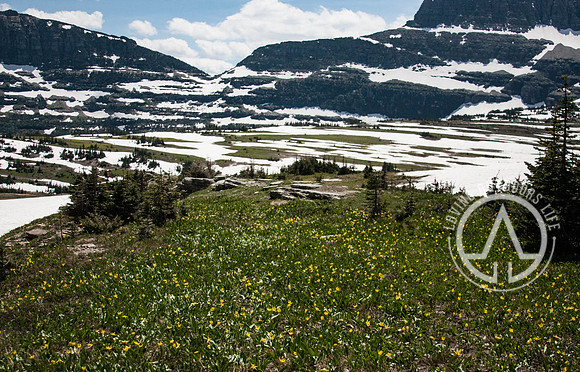 Logan Pass