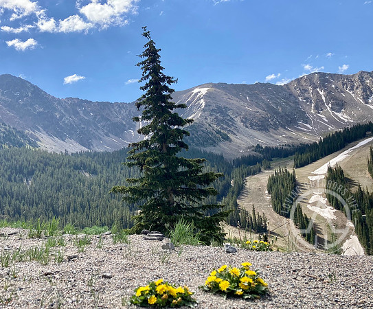 Rocky Mountains and More