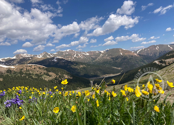 Rocky Mountains and More