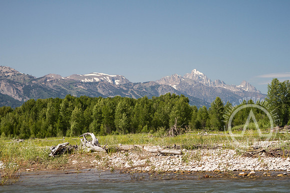 Scenic Float Trip - Snake River
