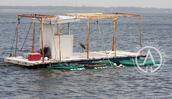 A bait barge for a guy who sells live bait to fisherman. The big green cage looking containers are what holds the live bait fish.