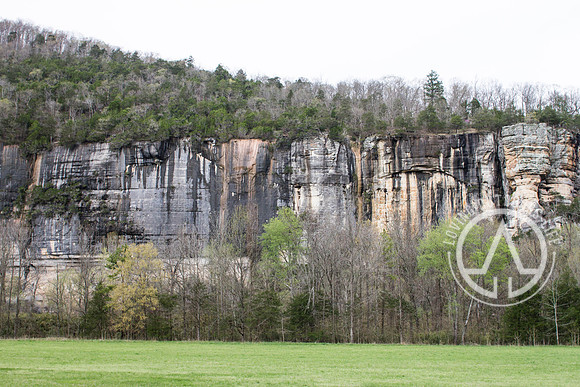 Steel Creek Campground Area