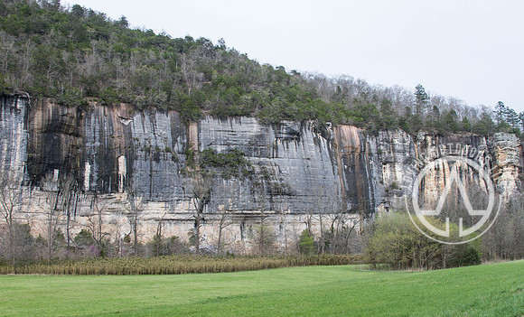 Steel Creek Campground Area