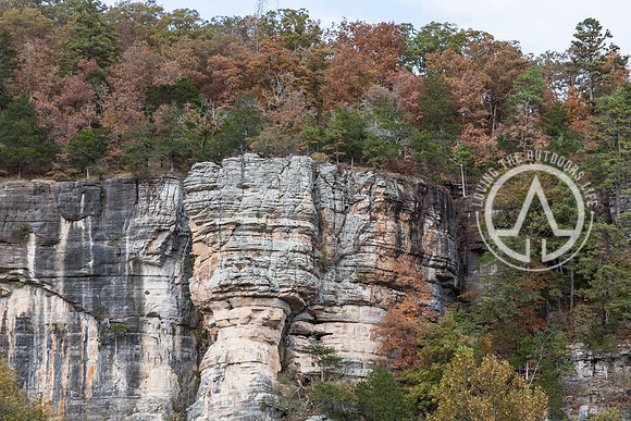 Steel Creek Campground Area