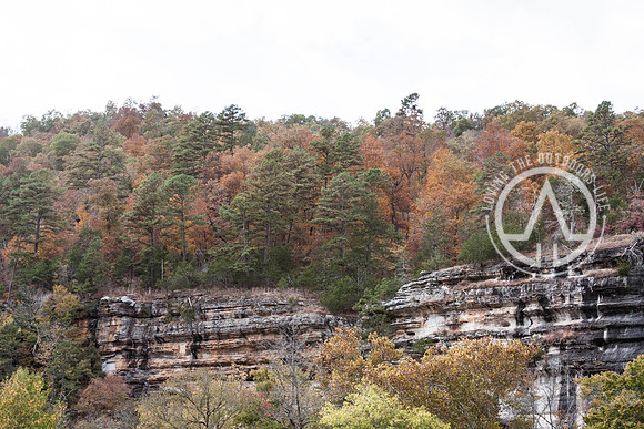 Steel Creek Campground Area