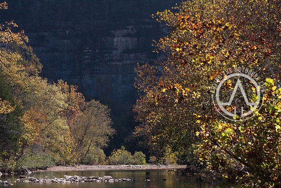 Steel Creek Campground Area