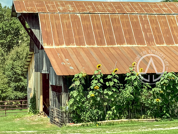 Old Barn