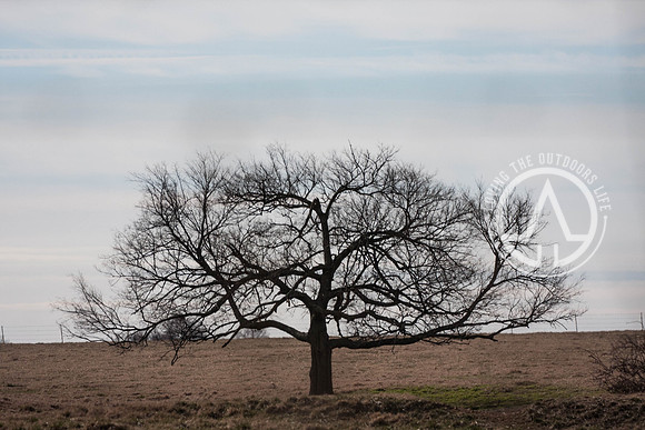 Standing Alone