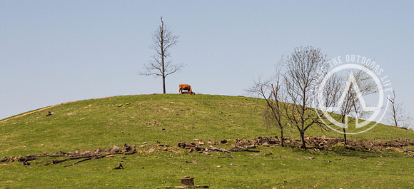 Top of the Hill