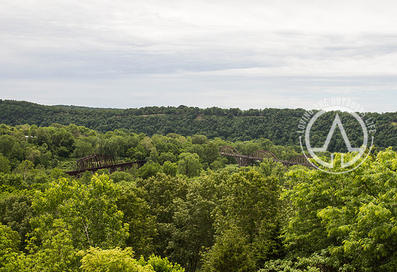 Cotter Bridges