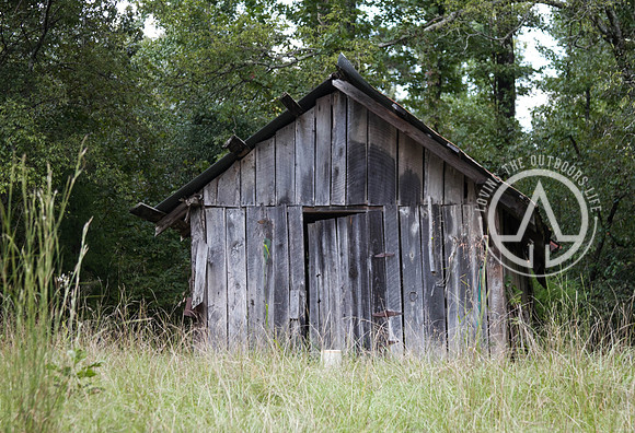 Old Shack