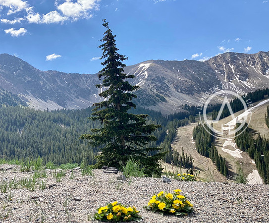 Rocky Mountains and More